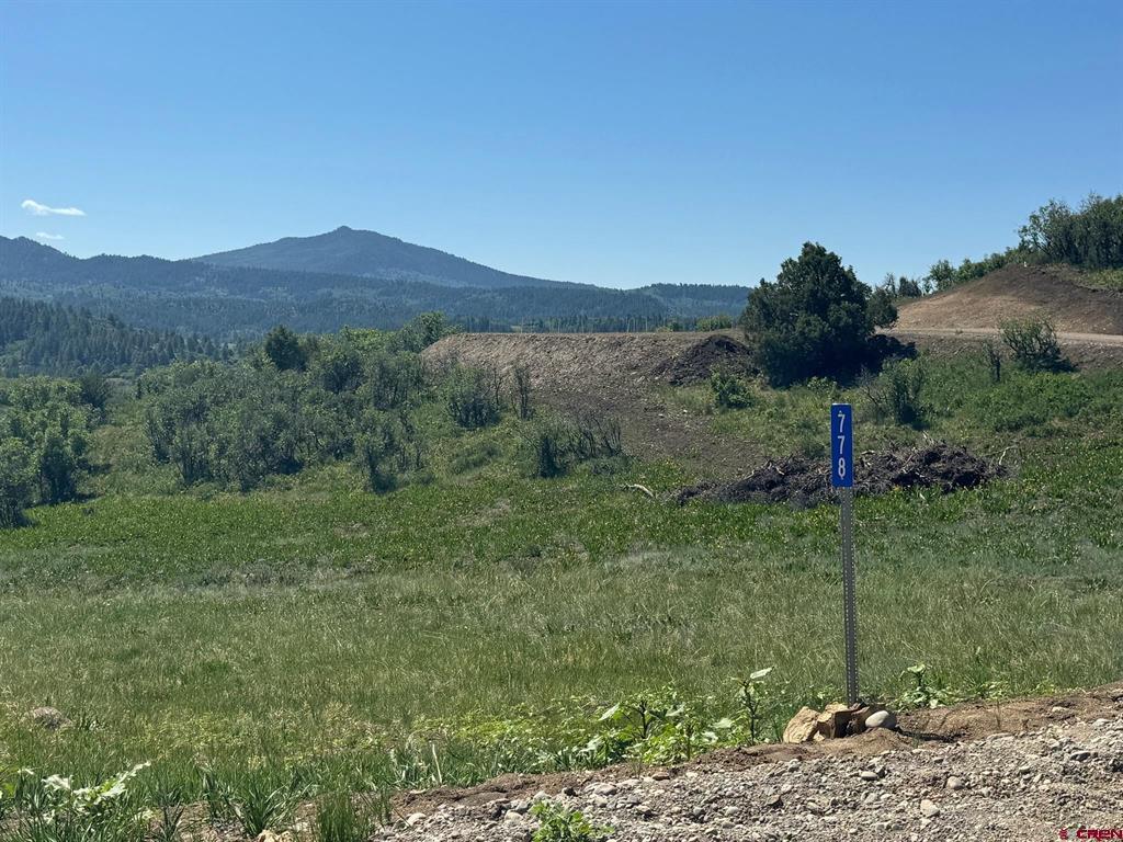 778 W Arbol Park Drive Pagosa Springs CO 81128