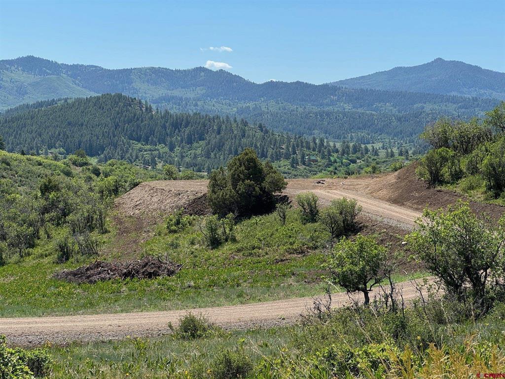 778 W Arbol Park Drive Pagosa Springs CO 81128