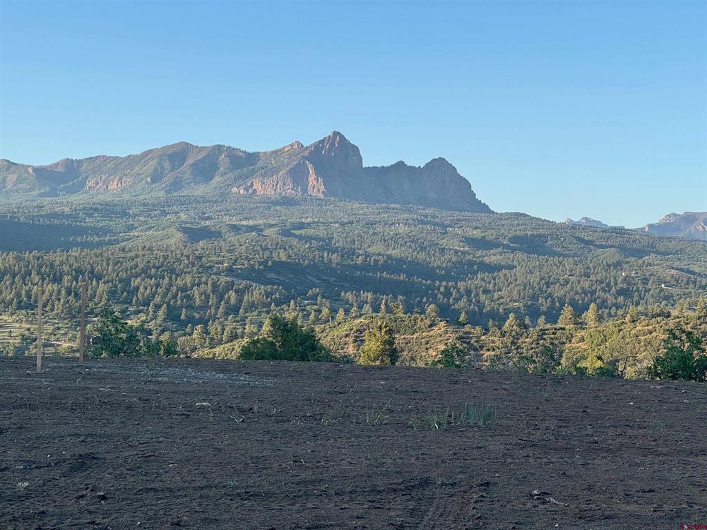 778 W Arbol Park Drive Pagosa Springs CO 81128