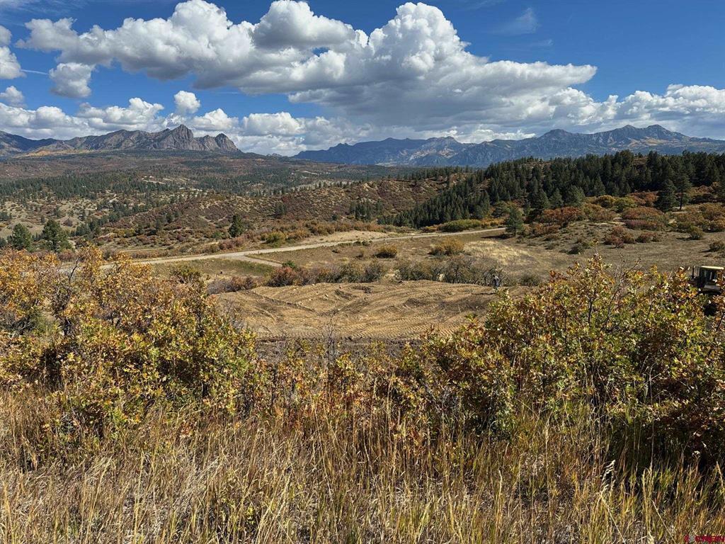 778 W Arbol Park Drive Pagosa Springs CO 81128