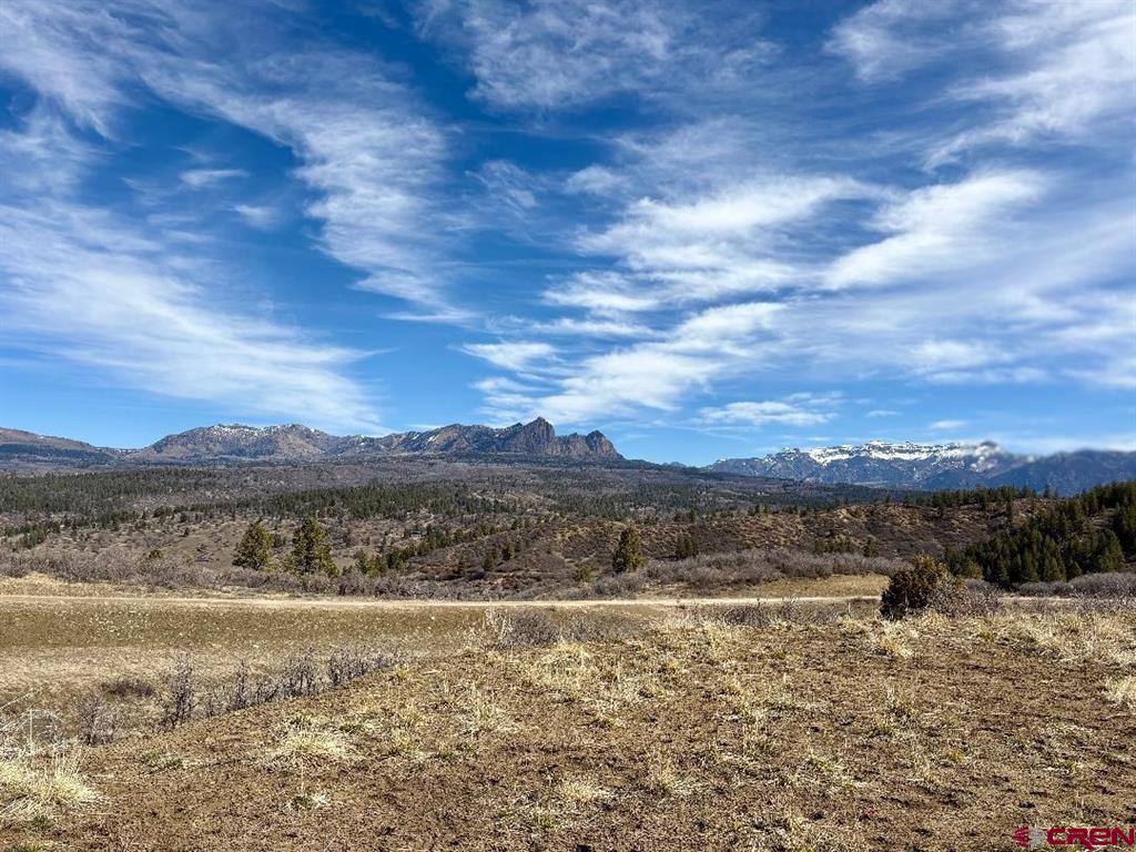 778 W Arbol Park Drive Pagosa Springs CO 81128
