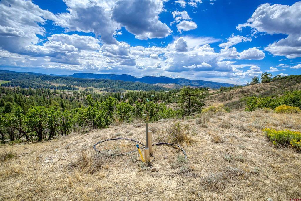 2816 Running Horse Place Chromo CO 81128