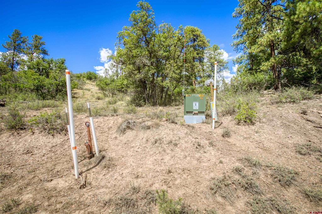 2816 Running Horse Place Chromo CO 81128