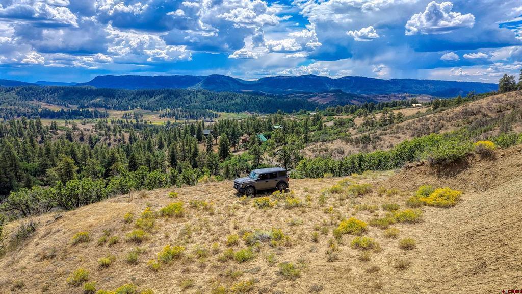 2816 Running Horse Place Chromo CO 81128