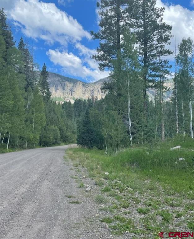 207 Camp Robber Drive Creede CO 81130