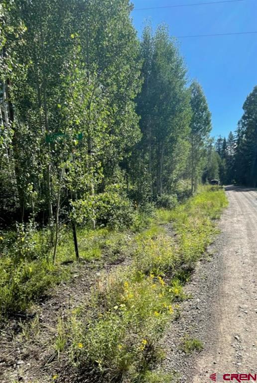 207 Camp Robber Drive Creede CO 81130