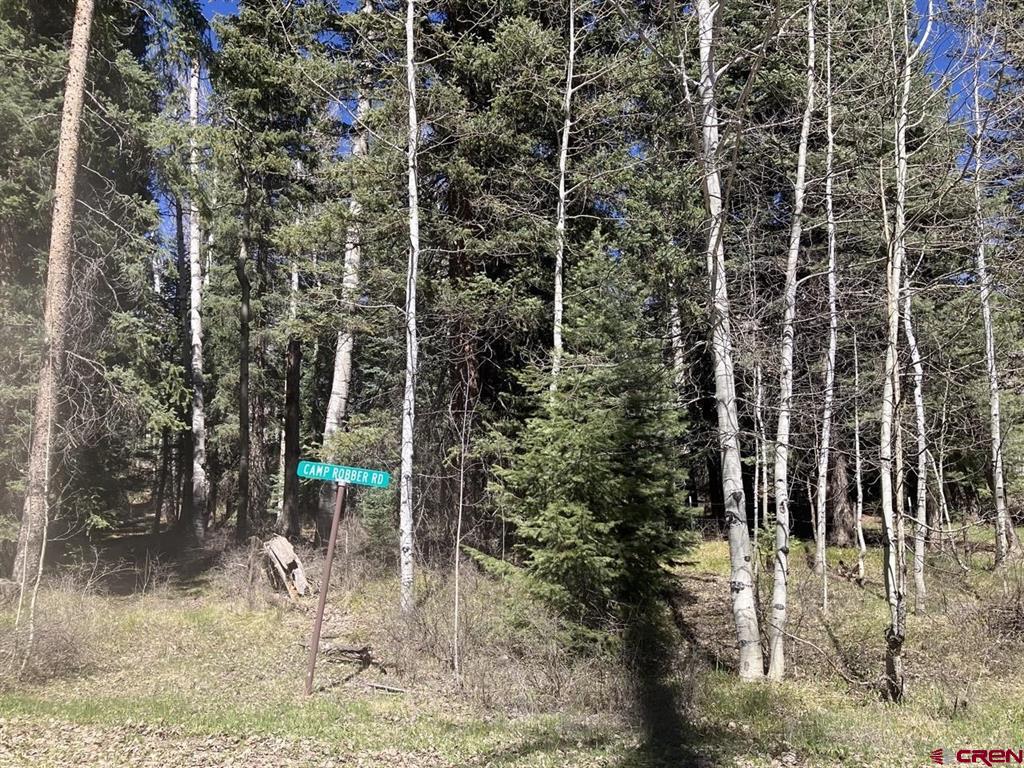207 Camp Robber Drive Creede CO 81130