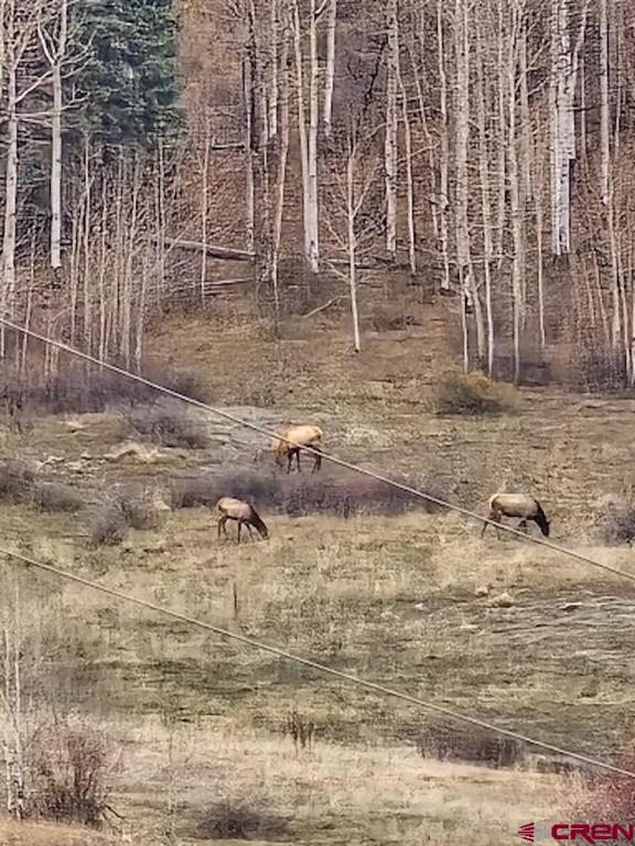 207 Camp Robber Drive Creede CO 81130