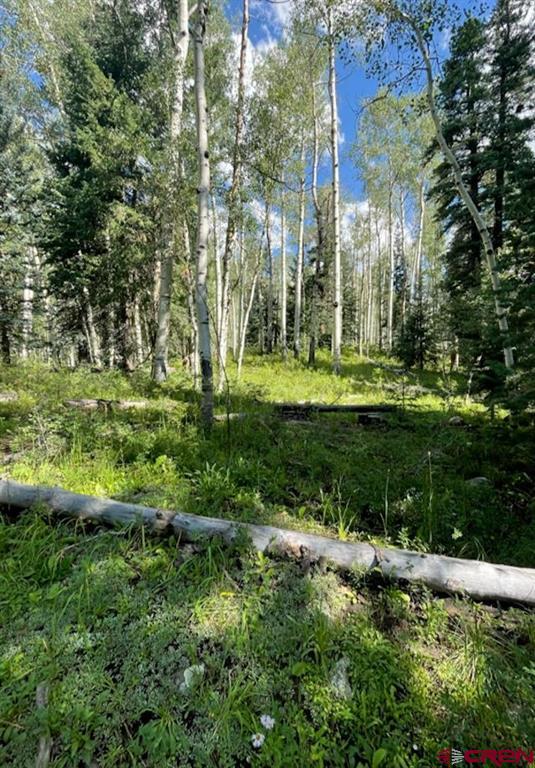 207 Camp Robber Drive Creede CO 81130
