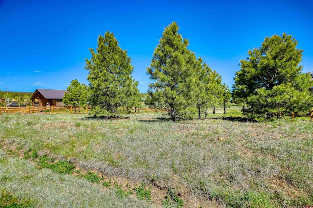 35 Carpin Circle Pagosa Springs CO 81147