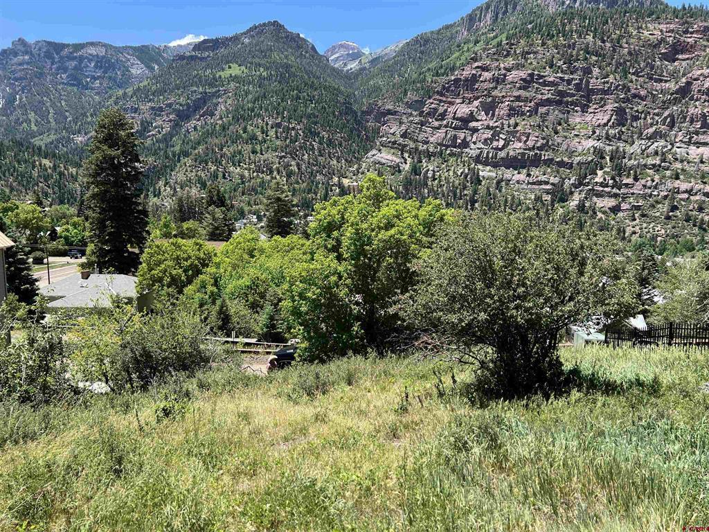 325 2nd Avenue Ouray CO 81427