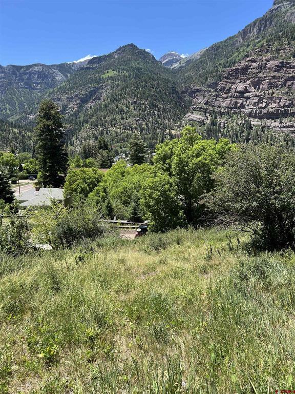 325 2nd Avenue Ouray CO 81427