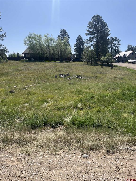 20 La Costa Court Pagosa Springs CO 81147