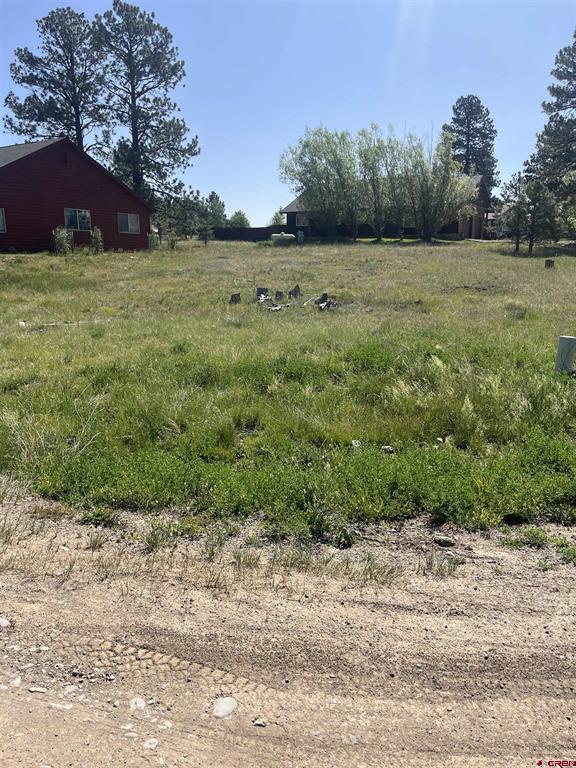 20 La Costa Court Pagosa Springs CO 81147