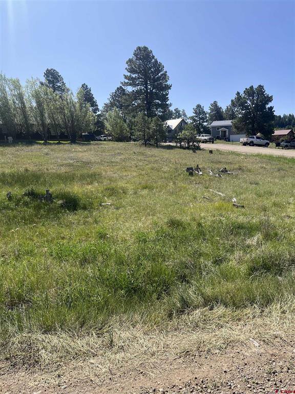 20 La Costa Court Pagosa Springs CO 81147