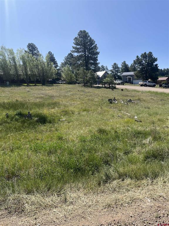 20 La Costa Court Pagosa Springs CO 81147