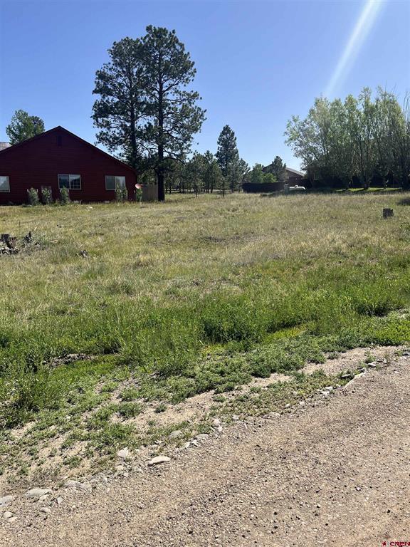 20 La Costa Court Pagosa Springs CO 81147