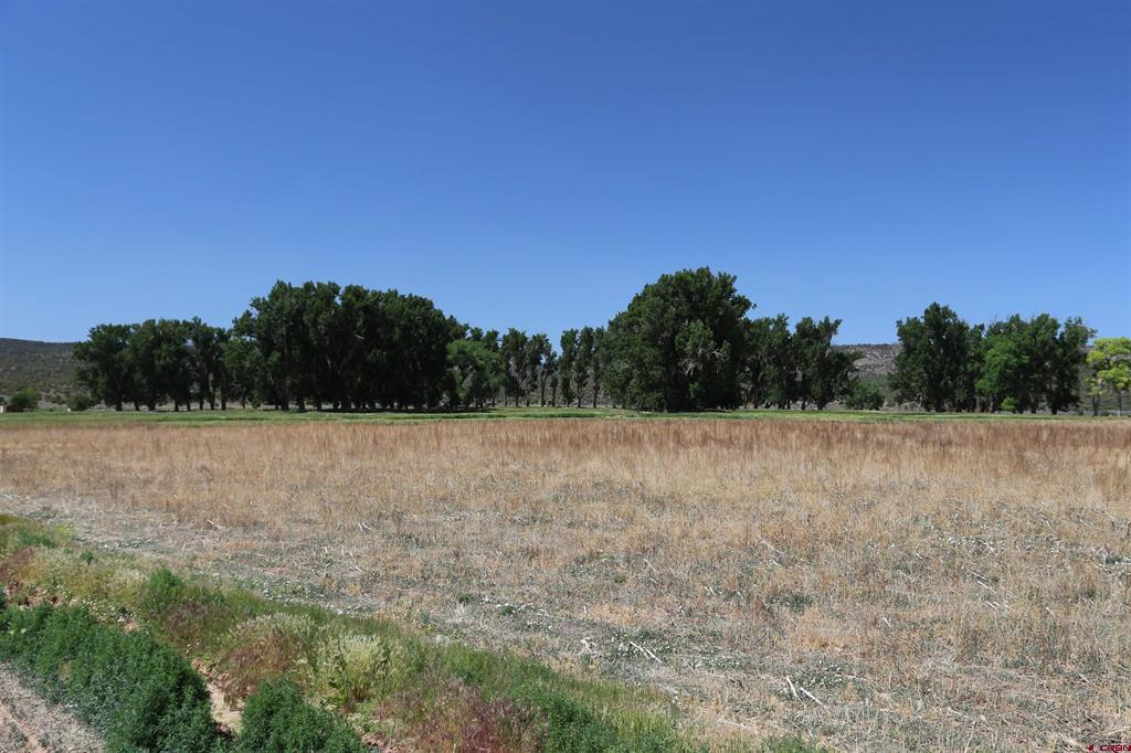 Tbd Shavano Valley Road Montrose CO 81403