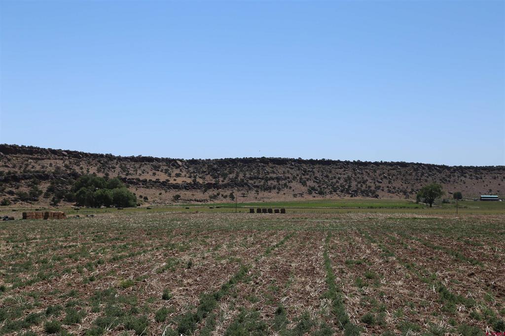 Tbd Shavano Valley Road Montrose CO 81403