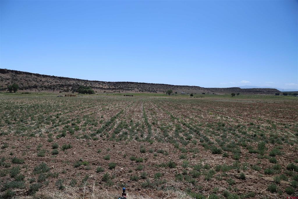 Tbd Shavano Valley Road Montrose CO 81403