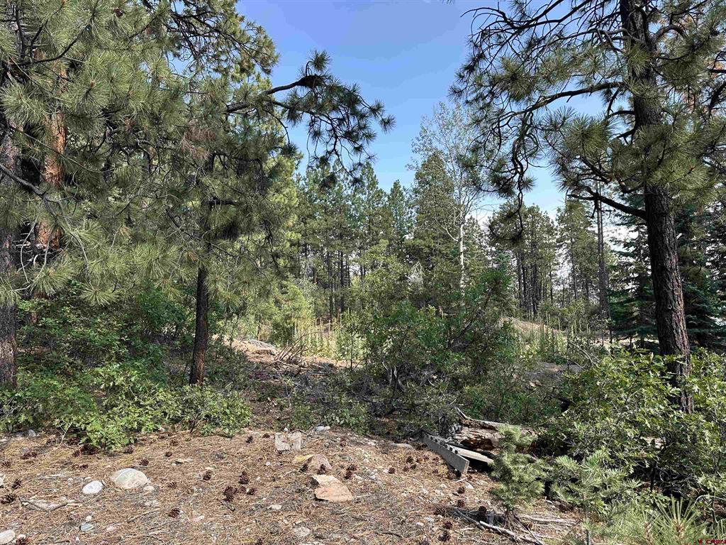 186 Pine Ridge Bayfield CO 81122