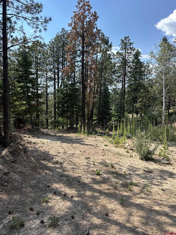 186 Pine Ridge Bayfield CO 81122