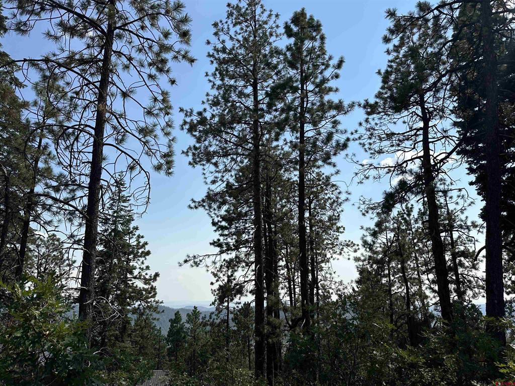 186 Pine Ridge Bayfield CO 81122