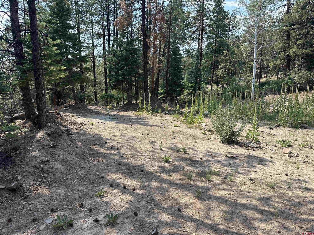 186 Pine Ridge Bayfield CO 81122