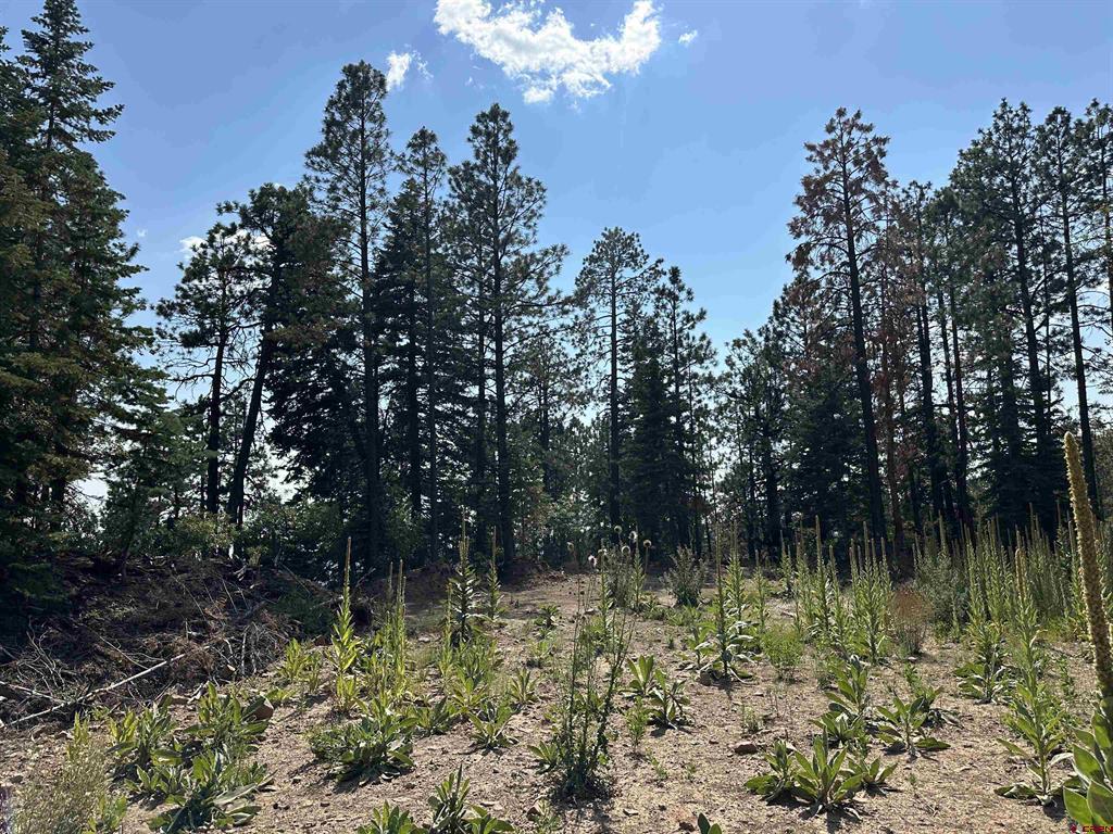 186 Pine Ridge Bayfield CO 81122