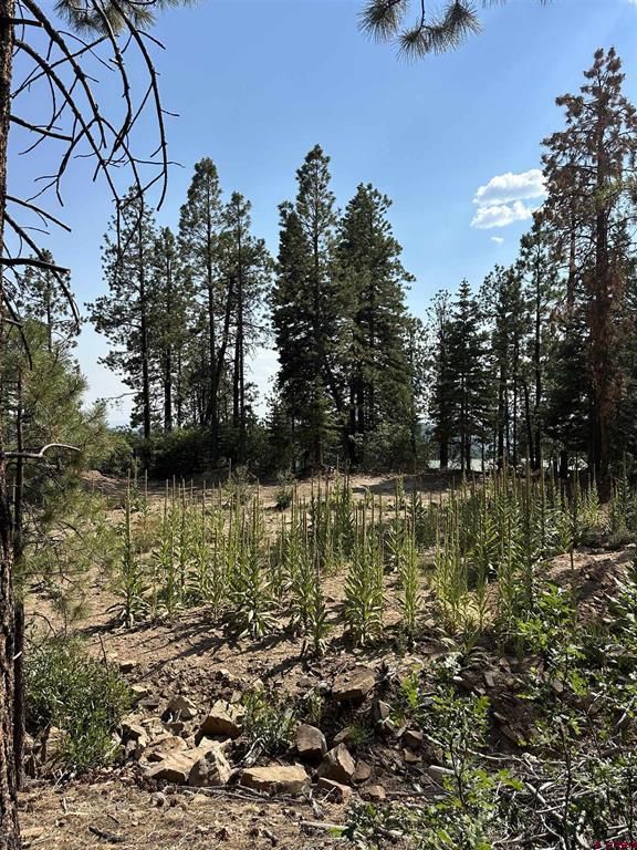 186 Pine Ridge Bayfield CO 81122