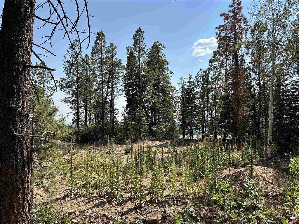 186 Pine Ridge Bayfield CO 81122