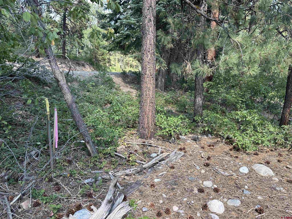 186 Pine Ridge Bayfield CO 81122