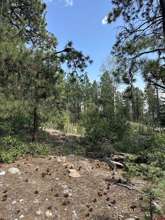 186 Pine Ridge Bayfield CO 81122