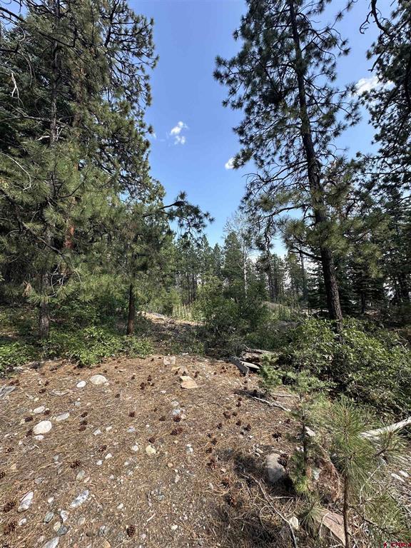 186 Pine Ridge Bayfield CO 81122