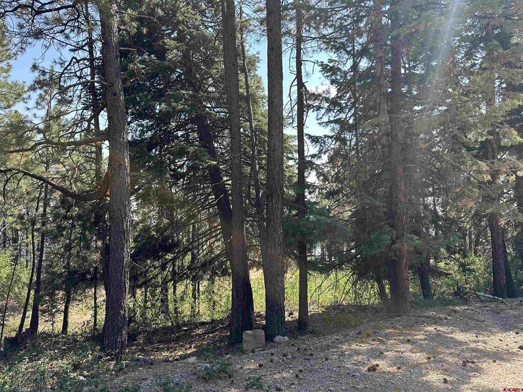 186 Pine Ridge Bayfield CO 81122