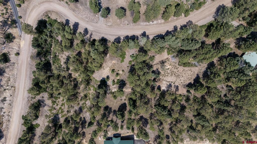 186 Pine Ridge Bayfield CO 81122