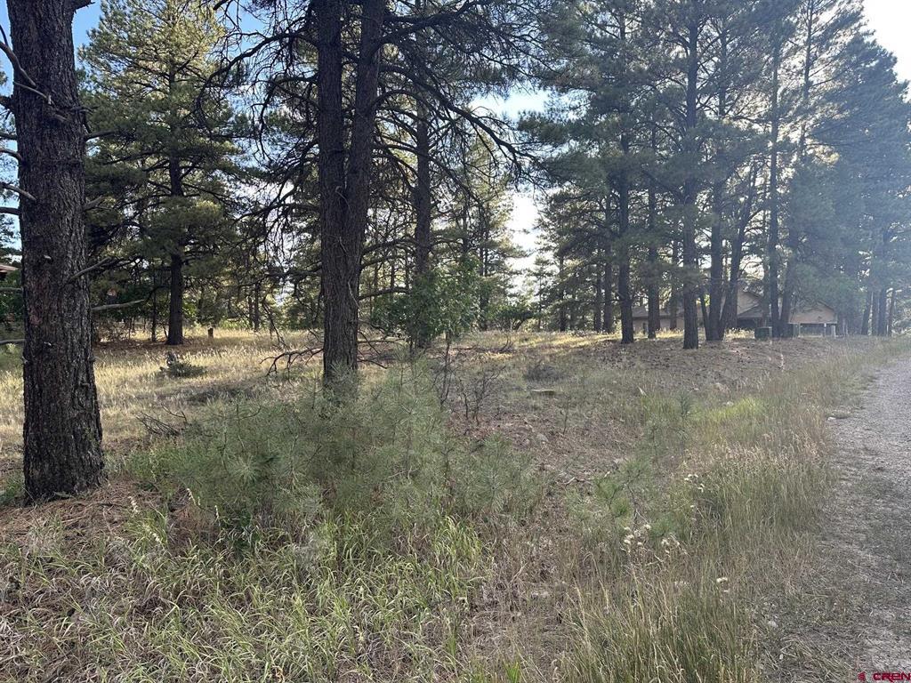 Pagosa Springs CO, 434 Twincreek