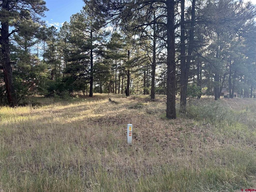 434 Twincreek Circle Pagosa Springs CO 81147