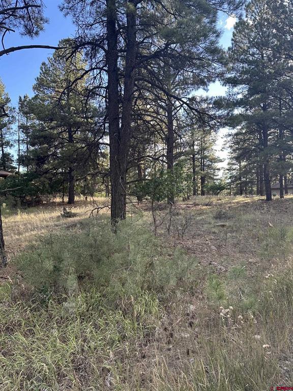 434 Twincreek Circle Pagosa Springs CO 81147