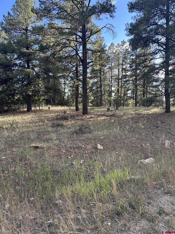 434 Twincreek Circle Pagosa Springs CO 81147