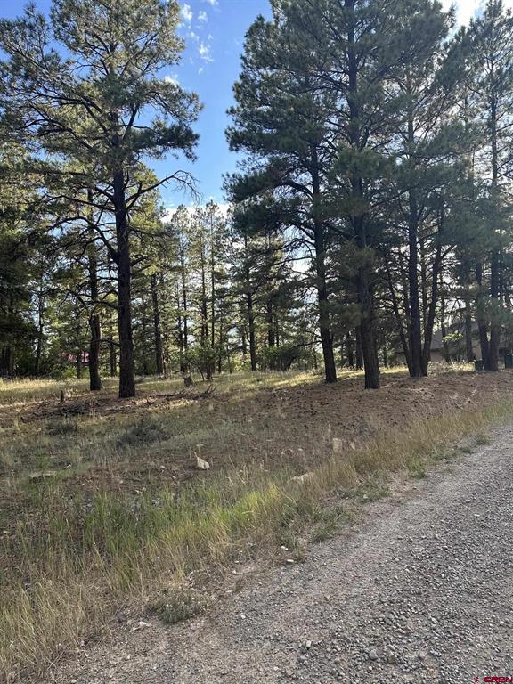 434 Twincreek Circle Pagosa Springs CO 81147