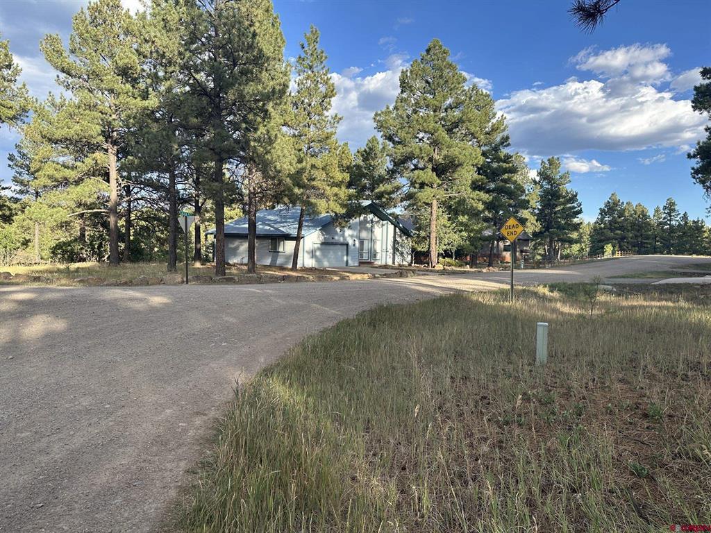 434 Twincreek Circle Pagosa Springs CO 81147