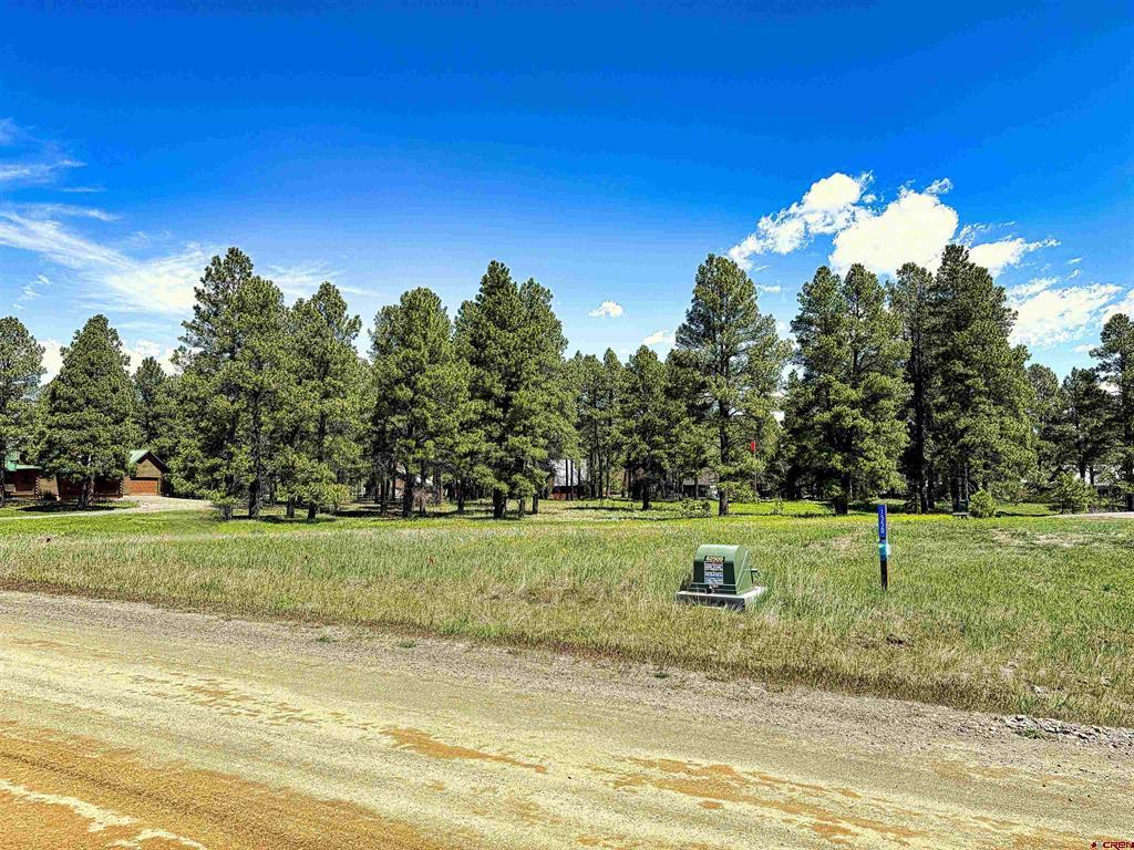 1520 Antelope Avenue Pagosa Springs CO 81147