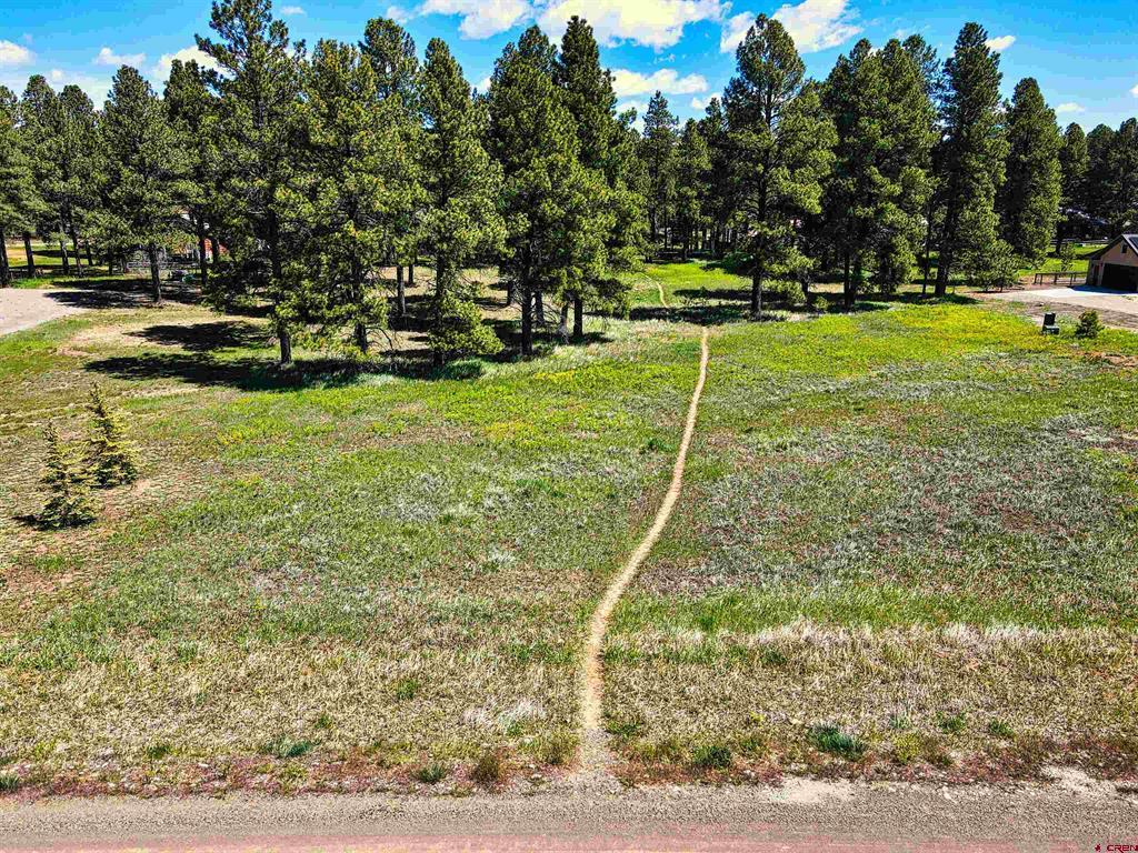1520 Antelope Avenue Pagosa Springs CO 81147