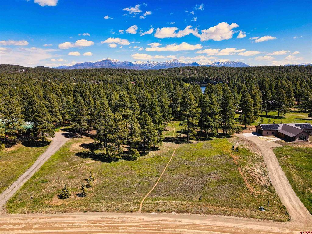 1520 Antelope Avenue Pagosa Springs CO 81147