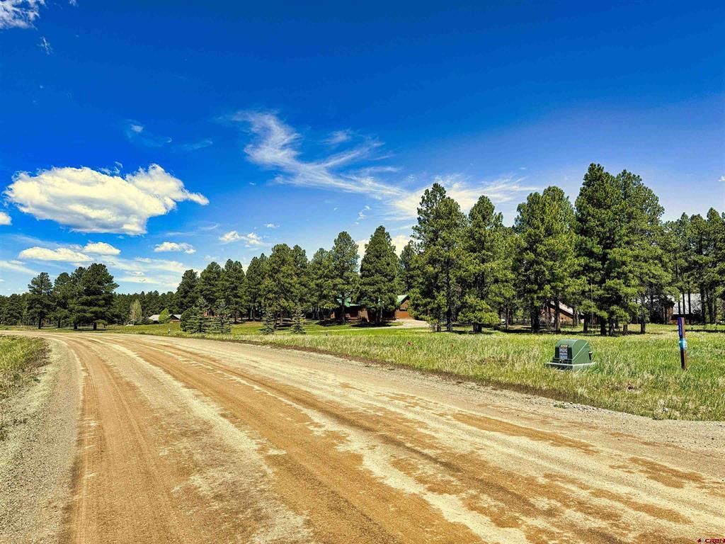 1520 Antelope Avenue Pagosa Springs CO 81147