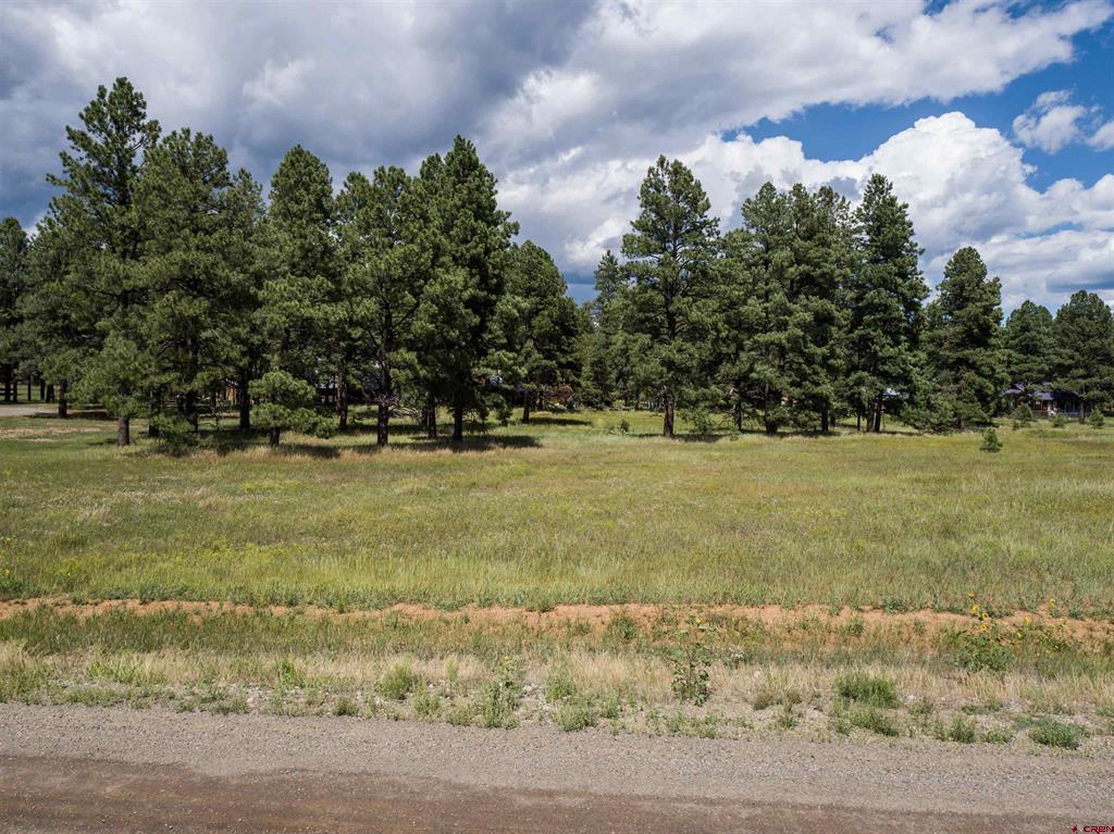 1520 Antelope Avenue Pagosa Springs CO 81147