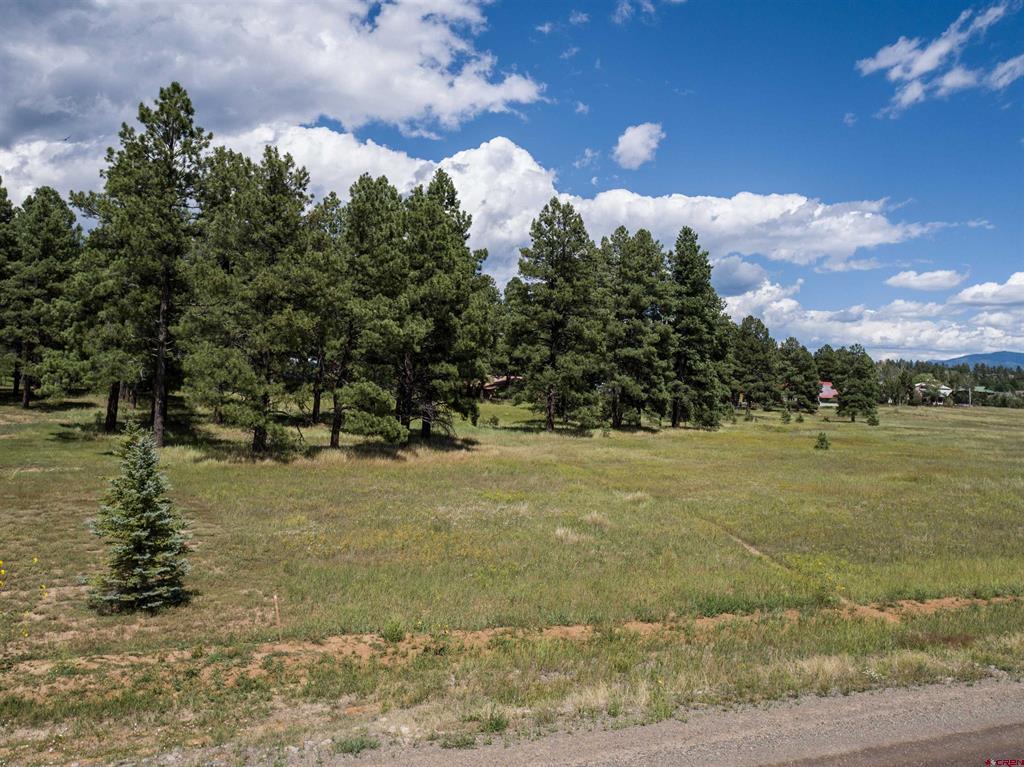 1520 Antelope Avenue Pagosa Springs CO 81147