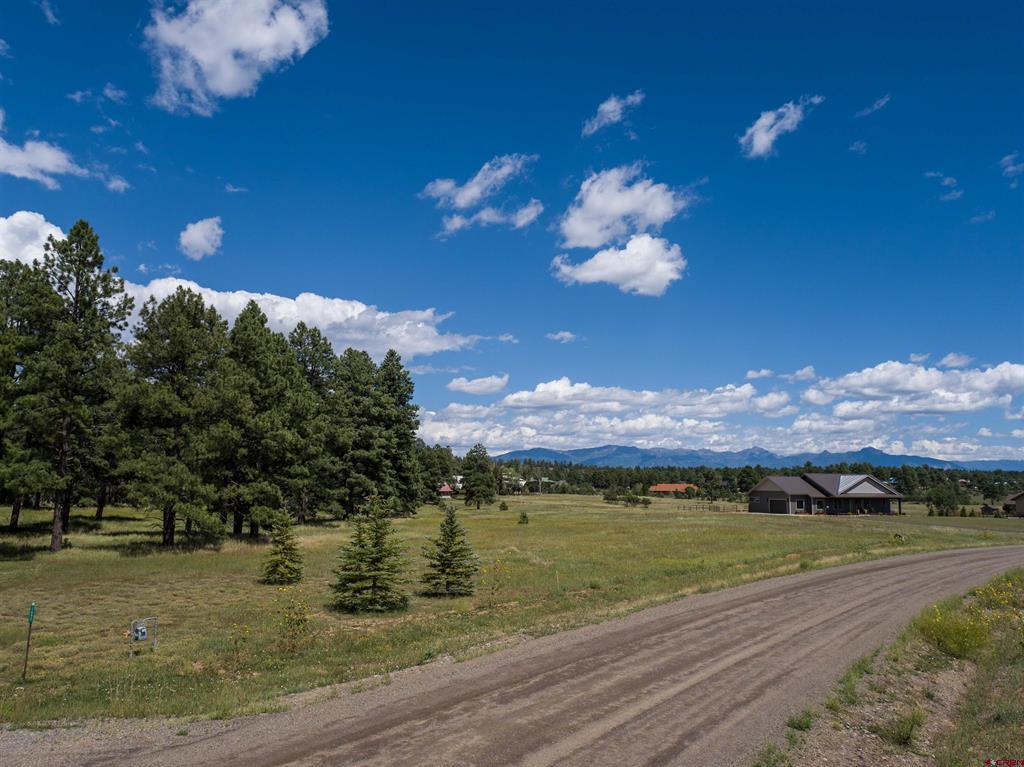 1520 Antelope Avenue Pagosa Springs CO 81147
