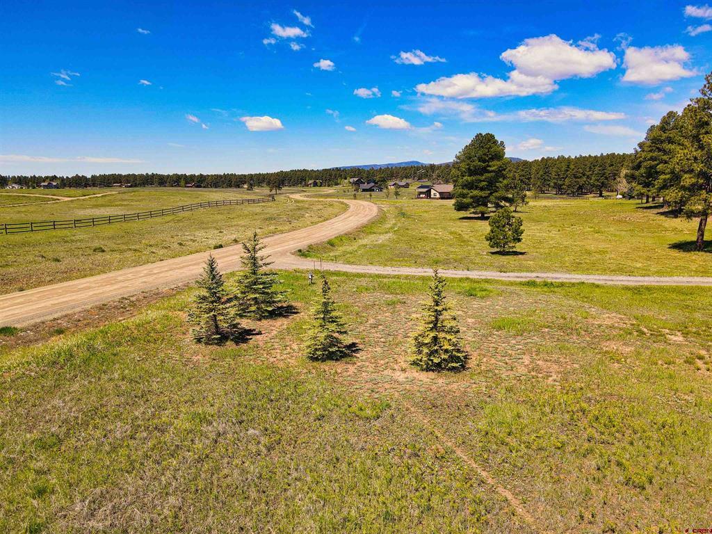 1520 Antelope Avenue Pagosa Springs CO 81147